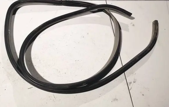 Chevrolet Aveo Rubber seal front coupe door 