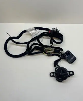 Alfa Romeo Giulia Rear door wiring loom 00505460190