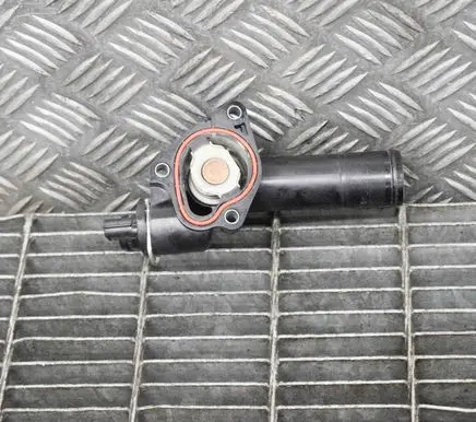 Renault Clio IV Thermostat 8200954328C