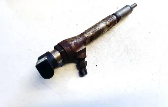 Renault Megane III Fuel injector 8200294788 166009445r
