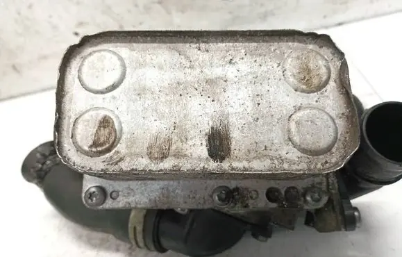 Nissan Qashqai Engine oil radiator 