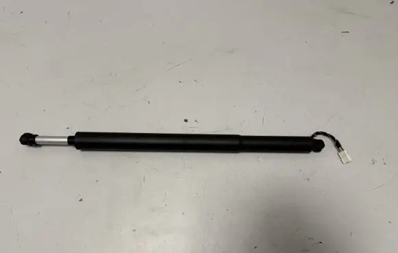 Tailgate/trunk strut/damper