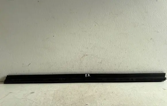 BMW X6 F16 Door glass trim 