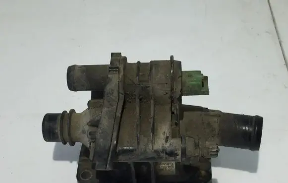 Thermostat/thermostat housing