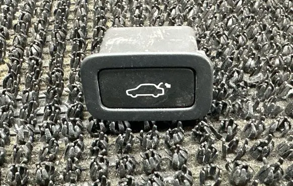 Tailgate opening switch