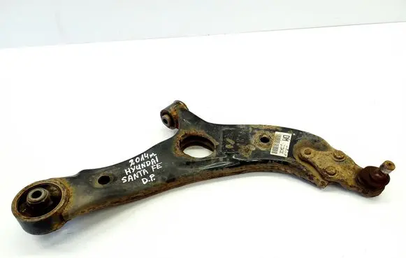Front lower control arm/wishbone