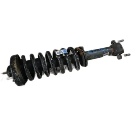 Ford F150 Shock absorber/damper/air suspension 