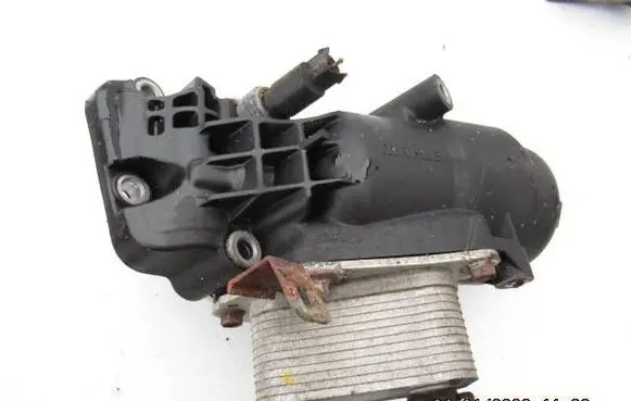 Hyundai i20 (PB PBT) Engine oil radiator 1108300213V1 264102A300