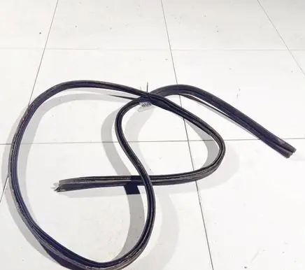 Ford Focus C-MAX Rubber seal front coupe door 