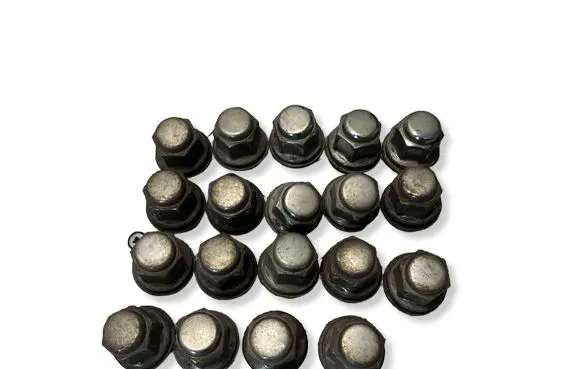 Toyota Prius (XW20) Nuts/bolts 