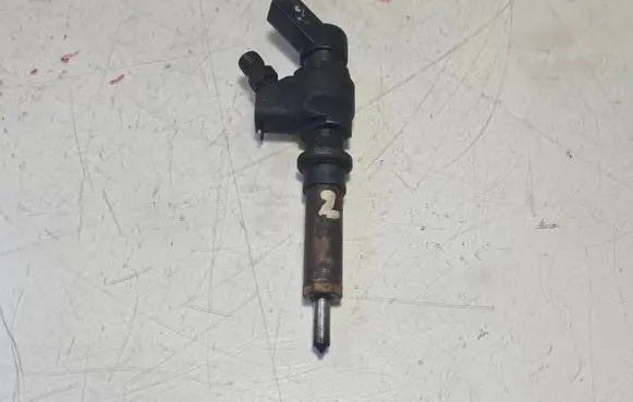 Peugeot 307 Fuel injector 9636819380