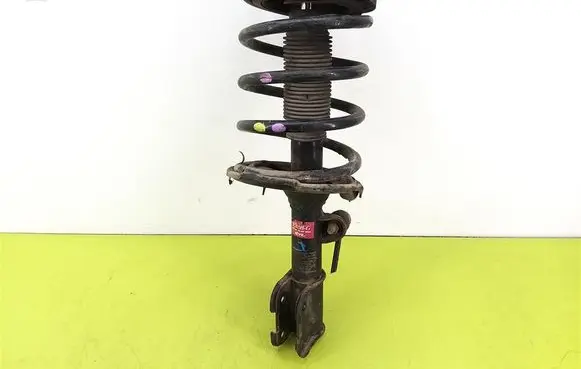 Hyundai Santa Fe Front shock absorber with coil spring
