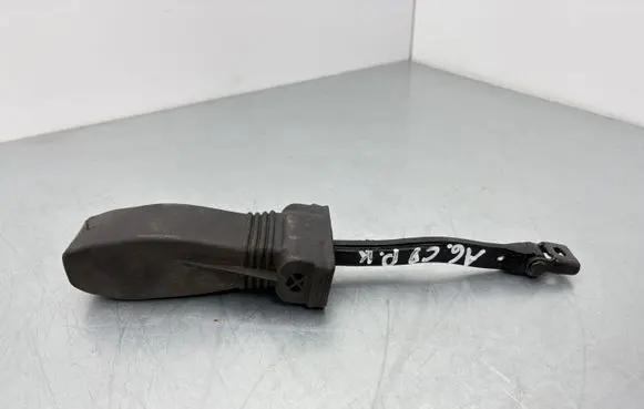 Audi A6 S6 C8 4K Front door check strap stopper 4K0937249 4K0837267