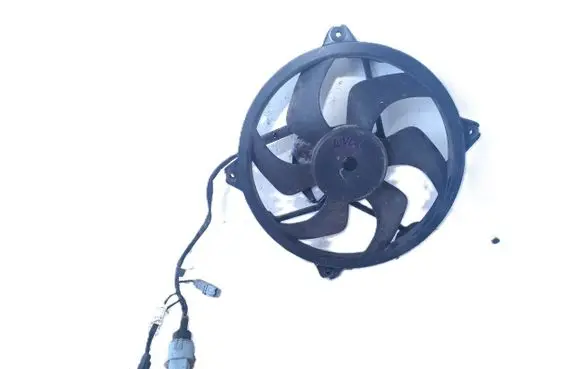 Peugeot 407 Electric radiator cooling fan 1831504016 9653302880