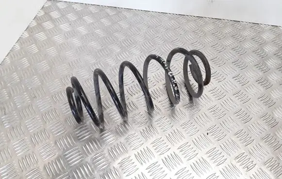 Rear coil spring