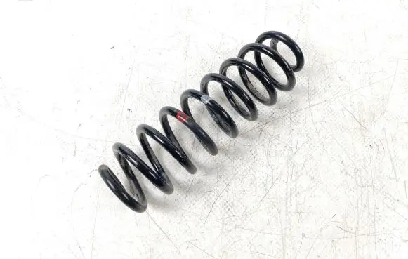 Toyota RAV 4 (XA50) Rear coil spring