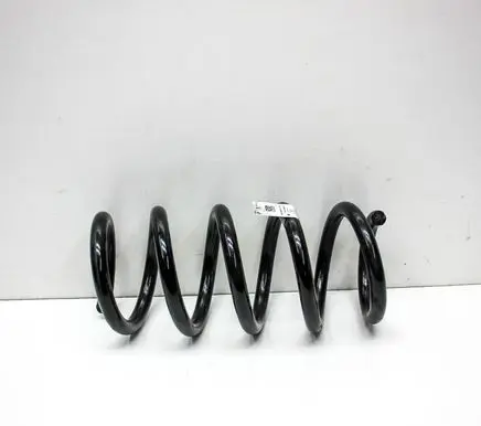 Rear coil spring