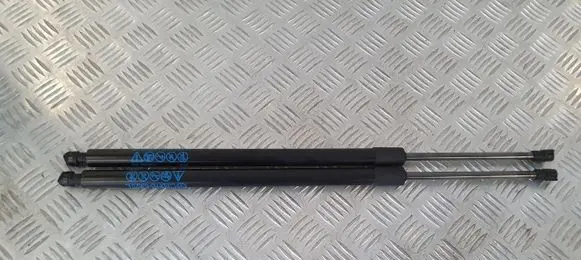 Mazda CX-30 Tailgate strut PU11282