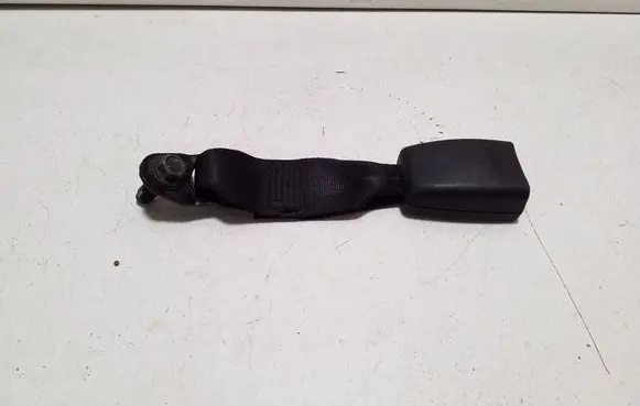 Middle seatbelt buckle (rear)