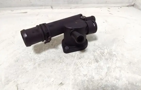 Thermostat/thermostat housing