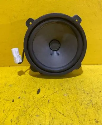 Chevrolet Captiva Front door speaker 25907869