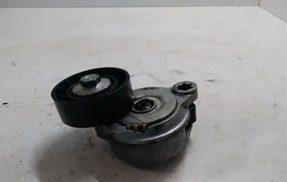 Volvo S60 Belt tensioner pulley 2FL54TF155