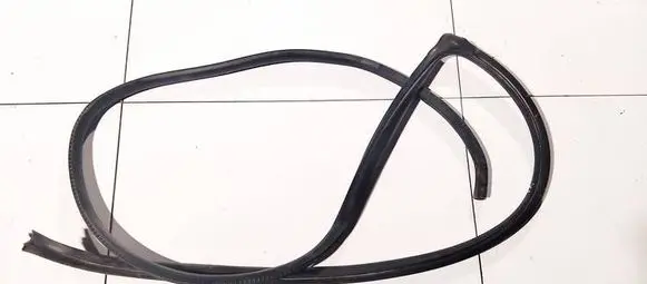 Nissan Murano Z50 Rubber seal front coupe door 