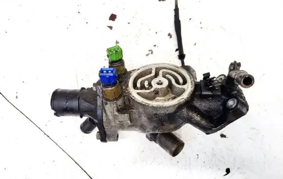 Peugeot Partner Engine coolant pipe/hose 9624839210