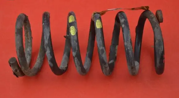 Hyundai Santa Fe Rear coil spring