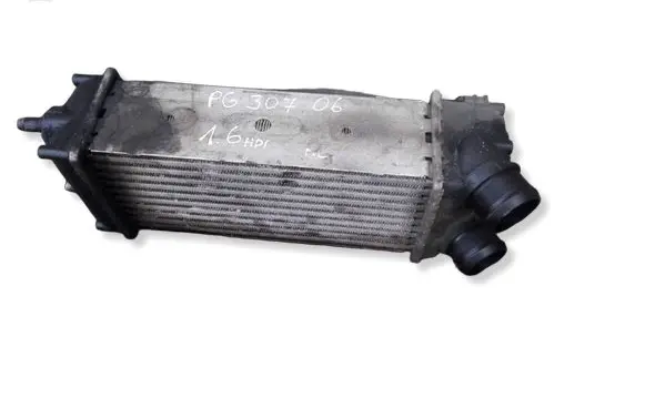 Peugeot 307 Intercooler radiator 876923JE 9648551880
