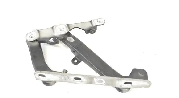 Mercedes-Benz SLK R171 Engine bonnet/hood hinges A1718800228
