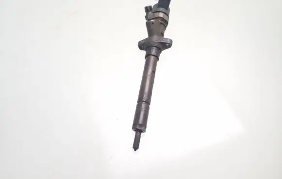 Peugeot 406 Fuel injector 9637277980 0445110036