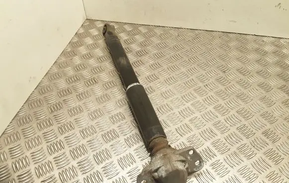 Seat Altea XL Rear shock absorber/damper 55281913