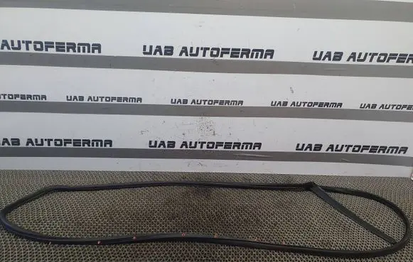 KIA Rio Rubber seal rear door 
