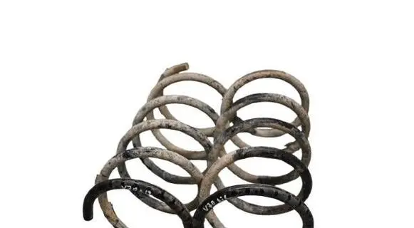 Rear coil spring