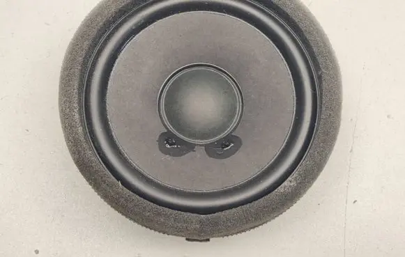 Mercedes-Benz EQS V297 Front door speaker A2238201500