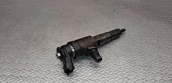 Peugeot 206 Fuel injector 0445110075 9641496180