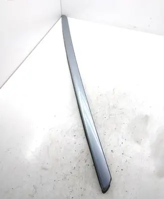 Windshield trim