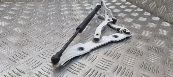 BMW 2 F22 F23 Tailgate/trunk strut/damper 5124730455604 730455704