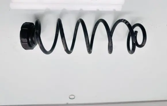 Rear coil spring