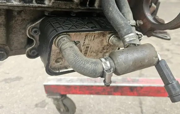 Volvo V70 Engine oil radiator 8677973