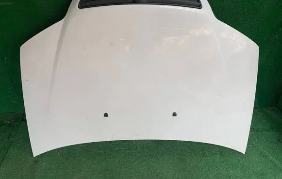 Fiat Punto (188) Engine bonnet/hood 