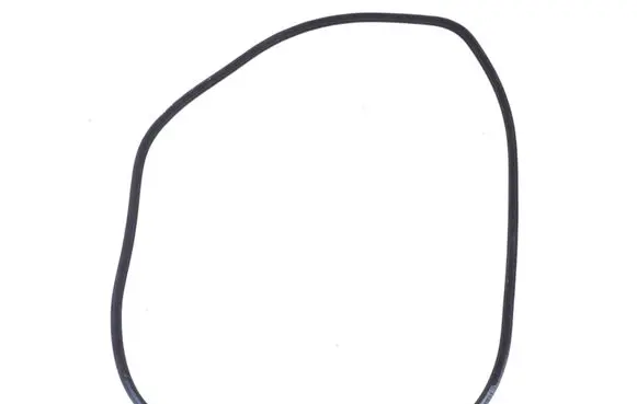 Infiniti FX Front door rubber seal 769211CA0A