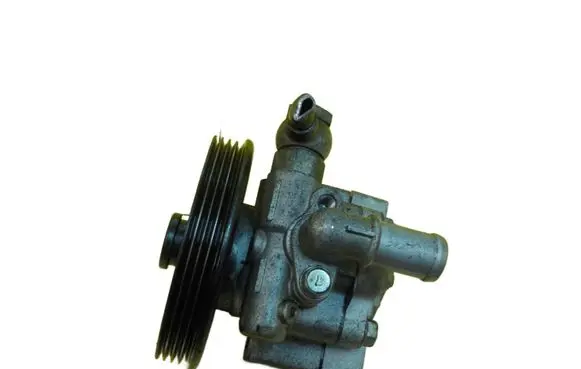 Opel Insignia A Power steering pump 13309333