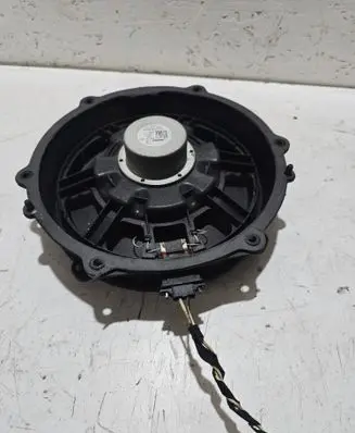 Front door speaker