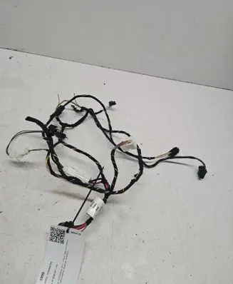 Other wiring loom