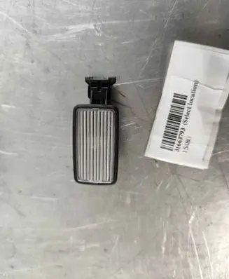 Volvo XC60 Front door interior light 31663793
