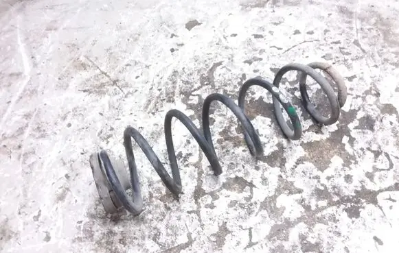 Volkswagen Bora Rear coil spring 