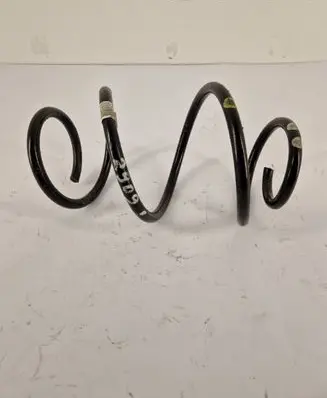 Opel Insignia B Front coil spring 