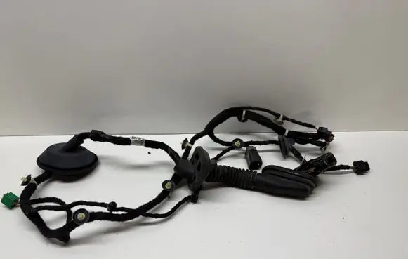Ram 1500 DT Front door wiring loom P68310300AC TC11M074800680